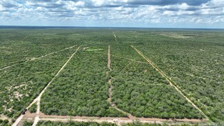 8525 Cr 211, Benavides, TX 78341