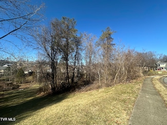 123 Vicksburg Rd, Johnson City, TN 37604