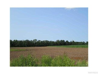 #4 Campbell Blvd, Cambria, NY 14094