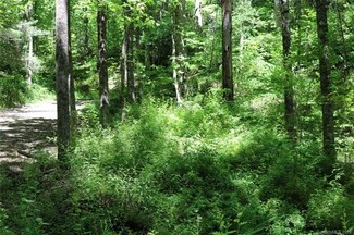 99999 McAlpine Mountain Rd, Zirconia, NC 28790