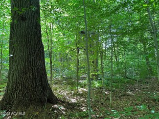 66-1-4.1 Fulton House Spur #2, Old Forge, NY 13420