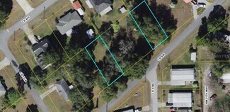 Lot 16 & 19 County Road 440, Lake Panasoffkee, FL 33538