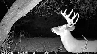 2030 Longwood Rd, Columbia, SC 29209