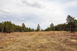 0 V L S Deer Lake Rd #2, Reed City, MI 49677