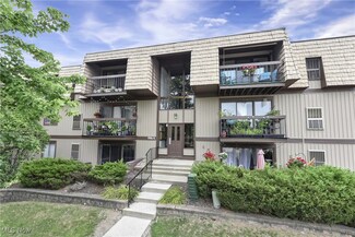 9801 Sunrise Blvd Unit O28, North Royalton, OH 44133