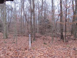 25 137 Biscayne Rd, Dubois, PA 15801