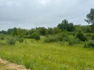 10.63(+/-) Acres Lapeer Rd, Davison, MI 48423