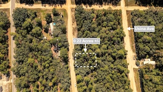 0 Del Monaco Ave Unit 25219781, Interlachen, FL 32148