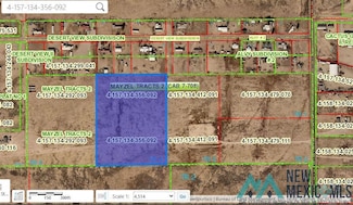 213-2 Coleman, Carlsbad, NM 88220