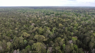 0 County Road 2845, Colmesneil, TX 75938