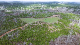 0 Allen Rd Unit LotWP001, Meadville, MS 39653