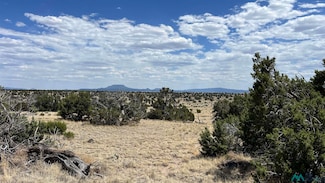 0 Warpath Rd Unit 20253527, Quemado, NM 87829