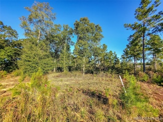 120 Sawtooth St, Enterprise, AL 36330