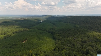 1700 Lakeside Dr, McCalla, AL 35111