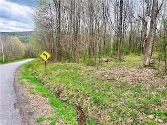 0 Sisson Hill Rd, Unadilla, NY 13849