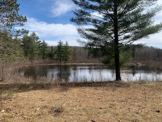 1290 State Route 3, Harrisville, NY 13648