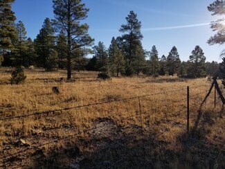 TBD State Rd 53, Grants, NM 87020