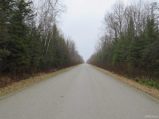 TBD Friday Q 1, Rapid River, MI 49878