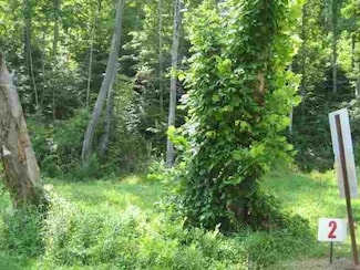 Lot #2 Short White Oak Rd, Flatwoods, KY 41139