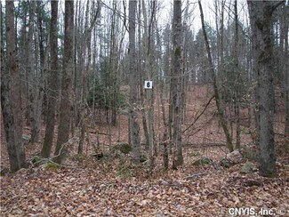 0 Eatonville Rd S Unit S282034, Greig, NY 13345