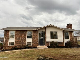 266 Mohawk Cir, Seymour, TN 37865