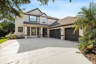 20403 Walnut Grove Ln, Tampa, FL 33647