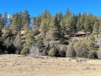 270 Cr 352, Dulce, NM 87528