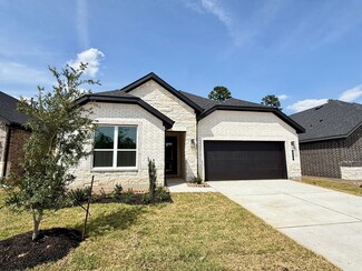 254 Springfield Terrace Dr, Panorama Village, TX 77304