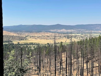 698-940 Old Scotts Logging Rd, Susanville, CA 96130