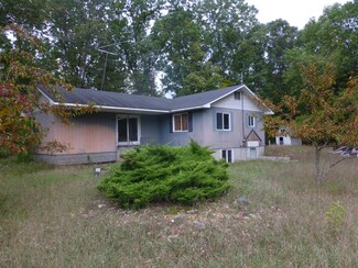 9815 N Stephens Rd, Free Soil, MI 49411