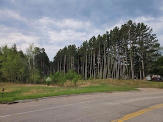 17773 370th St, Bagley, MN 56621