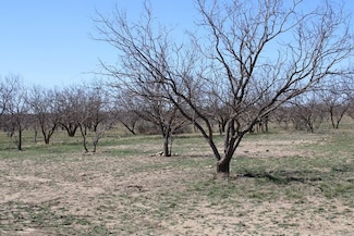 0 U S Highway 67 Unit 22501631, Ballinger, TX 76821