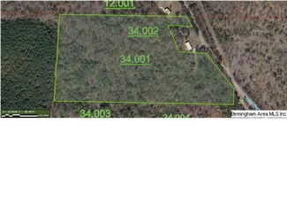 0 Cunningham Ln Unit 522658, Eastaboga, AL 36260