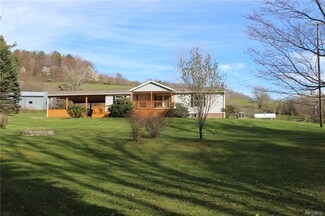 6984 Beers Hollow Rd, Bolivar, NY 14715