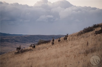 TBD Livingston Peak Rd, Livingston, MT 59047