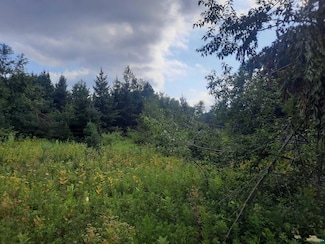 0 Birchwood Ln, Dewey, WI 54848