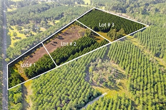 4 Rudd Rd, Ridgeville, SC 29472