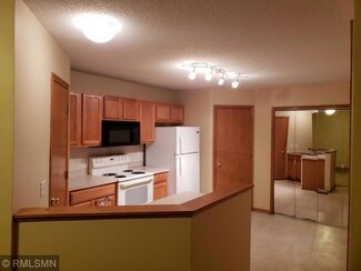 15950 Flotilla Trail Unit 335, Saint Paul, MN 55124