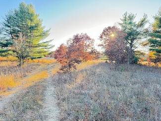 12.86AC Barberry Ave, Brooks Township, MI 49337