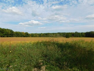 12878 Taylor Wells Rd, Chardon, OH 44024