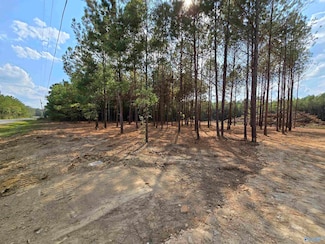 5.88 Acres Covington St, Attalla, AL 35954