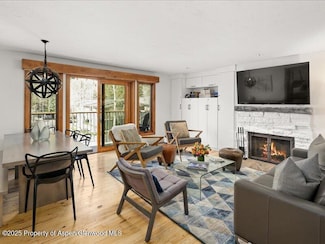 1020 E Durant Ave Unit 301, Aspen, CO 81611