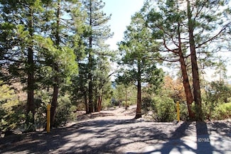 0 Gibbs-Gully, Idyllwild-Pine Cove, CA 92549