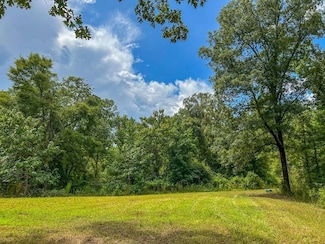 0 Paul Gallows Rd Unit 23850426, Utica, MS 39175