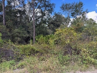 0 12th Ave Unit MFRV4945764, Deland, FL 32724