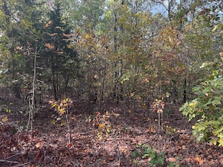 000 Tbd Yy Hwy, Norwood, MO 65717