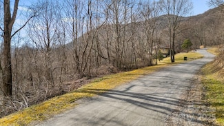 TBD Live Oak Loop Unit 71, Waynesville, NC 28785