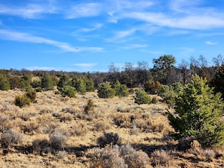 0 Edgewood Dr Unit 23960196, Ramah, NM 87321