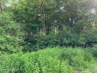 8 Collamer Rd, Malta, NY 12020