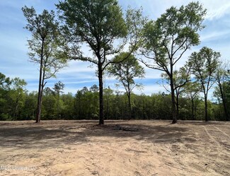 220 Prison Ridge Rd, Leakesville, MS 39451